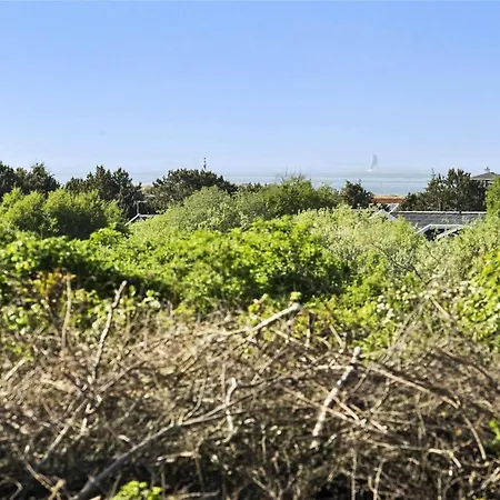 度假居 Tv1317-hirtshals-klitmarken-16